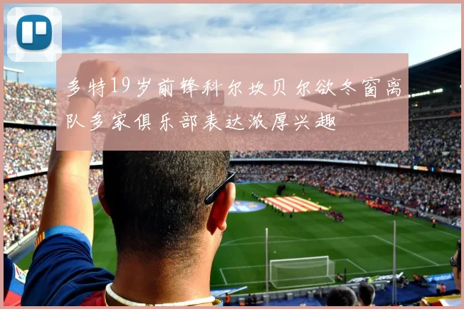 多特19岁前锋科尔坎贝尔欲冬窗离队多家俱乐部表达浓厚兴趣