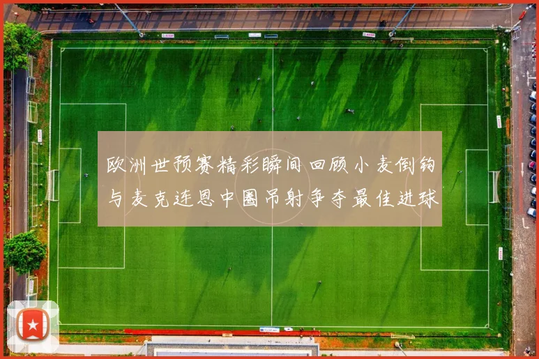 欧洲世预赛精彩瞬间回顾小麦倒钩与麦克连恩中圈吊射争夺最佳进球