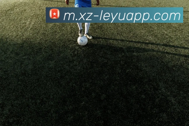 乐鱼体育发展历程